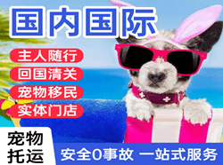 梅县航空邮寄国际宠物托运 【国